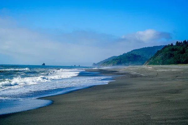 Meravigliosa Costa Della California Settentrionale Dove Foresta Incontra Pacifico — Foto Stock