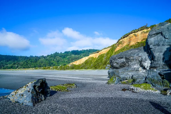 Meravigliosa Costa Della California Settentrionale Dove Foresta Incontra Pacifico — Foto Stock