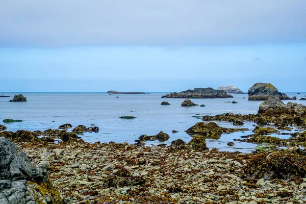 Brouillard Lève Dessus Magnifique Port Crescent City Californie Apporter Soleil — Photo