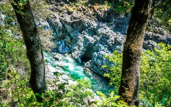 Parque Nacional Redwood Lugar Increíble Hermoso Para Visitar — Foto de Stock