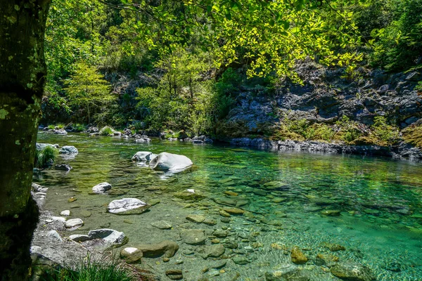 The gorgeous Redwood Creek that runs through the Redwood National Park in Northern California.