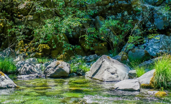 Magnífico Redwood Creek Que Atraviesa Parque Nacional Redwood Norte California — Foto de Stock