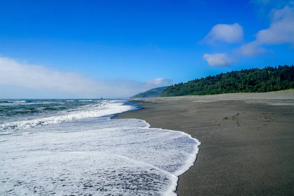 Meravigliosa Costa Della California Settentrionale Dove Foresta Incontra Pacifico — Foto Stock