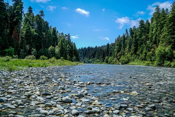 Magnífico Redwood Creek Que Atraviesa Parque Nacional Redwood Norte California —  Fotos de Stock