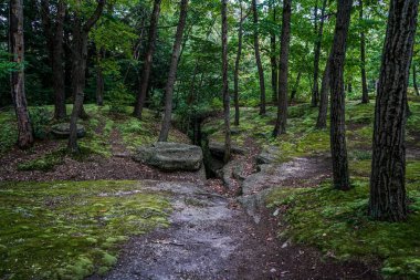 Thompson Ledges Thompson Ohio 'da çatlaktan geçince katmanlı kaya duvarlarına açılıyor..