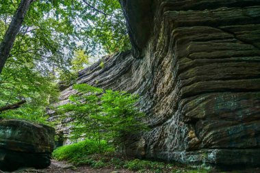 Thompson Ledges Thompson Ohio 'da çatlaktan geçince katmanlı kaya duvarlarına açılıyor..
