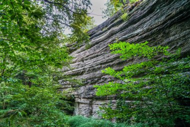 Thompson Ledges Thompson Ohio 'da çatlaktan geçince katmanlı kaya duvarlarına açılıyor..