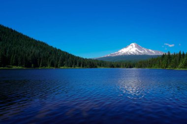 Oregon 'daki Hood Dağı' nın eteklerindeki Trillium Gölü bölgede olup olmadığınıza bakılması gereken bir yer..