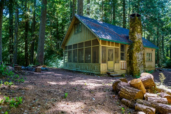 Rhododendron Oregon 'daki kulübemizin etrafındaki ağaçlık alan..