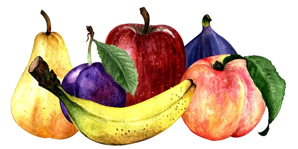 Ilustración Acuarela Pintura Mano Conjunto Plátano Manzana Pera Higo Melocotón — Foto de Stock