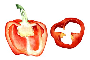 Suluboya çizimi. El boyası. Beyaz arka planda yarım parça kırmızı dolma biber..