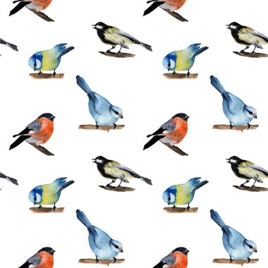 Suluboya çizimi. El çizimi. Eskiz. Dallarda küçük kuşlar var. ispinozlar ve meme fareleri .