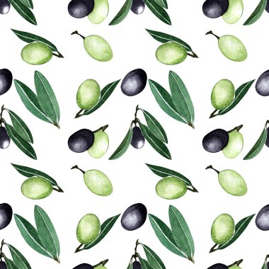 Suluboya çizimi. El çizimi. Kusursuz zeytin yaprakları, siyah ve yeşil zeytin meyveleri..