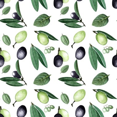 Suluboya çizimi. El çizimi. Dalların üzerinde yeşil ve siyah zeytin ve yaprakların pürüzsüz deseni..