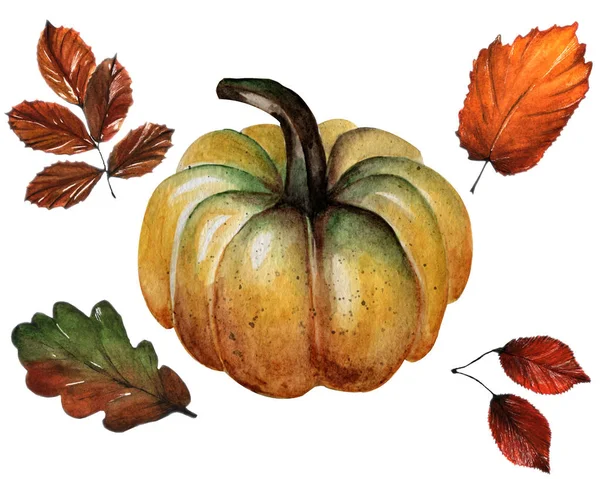 Aquarell Illustration Zeichnen Mit Den Händen Set Aus Trockenen Herbstblättern — Stockfoto