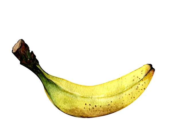 Akvarell Illusztráció Kézrajzolás Izolált Banán Fehér Háttér — Stock Fotó