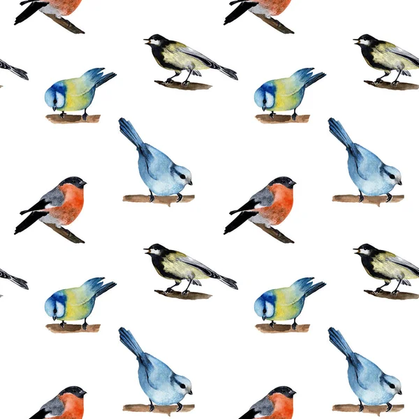 Suluboya çizimi. El çizimi. Eskiz. Dallarda küçük kuşlar var. ispinozlar ve meme fareleri .