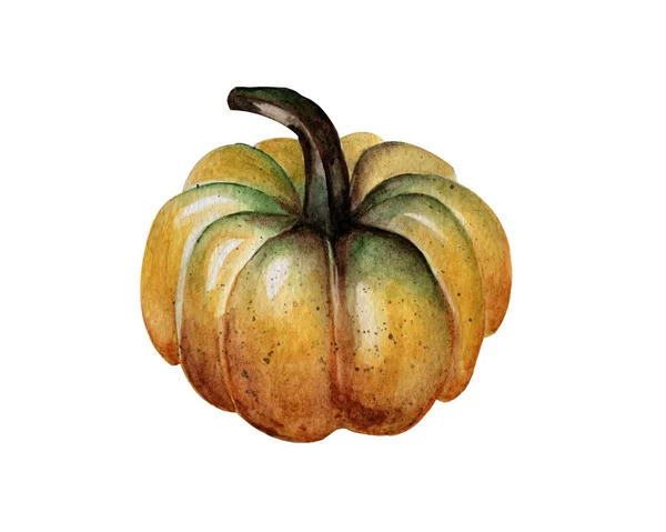 Watercolor Illustration Hand Drawing One Autumn Ripe Pumpkin White Background — Stock Photo, Image