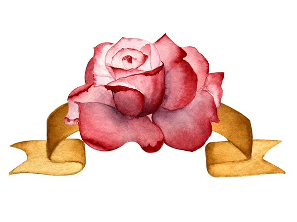 Watercolor Illustration Hand Drawing One Pink Rose Gold Ribbon White — ストック写真