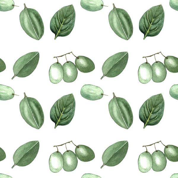 Акварель Ручной Рисунок Бесшовный Рисунок Зеленых Ягод Ветке Листьях — стоковое фото