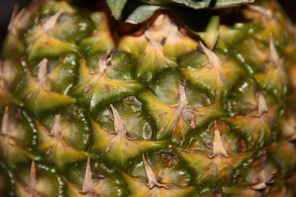 Güzel, olgun ananas yakından.