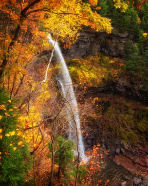 Kaaterskill Şelalesinde sonbahar