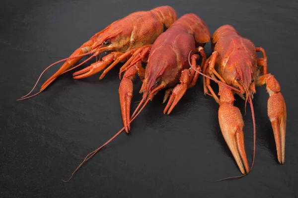 Red Boiled Crayfish Stone Slate Dark Background — Stock Photo, Image