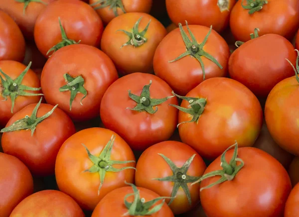 美味的红色西红柿 夏季托盘市场农业农场充满有机蔬菜 它可以用作背景 选择性聚焦 — 图库照片
