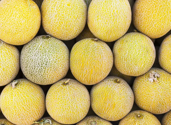 Närbild Många Meloner Sommaren Fack Marknaden Jordbruk Gård Full Ekologiska — Stockfoto