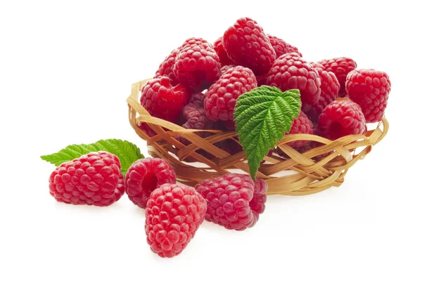 Basket Full Freshly Picked Raspberries Isolated White Background — Stock Photo, Image