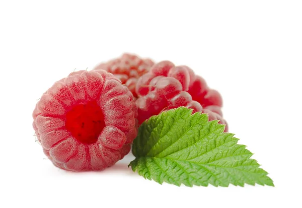 Frambuesa Roja Madura Con Hoja Verde Aislada Sobre Fondo Blanco —  Fotos de Stock