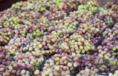  Demet kırmızı üzüm. Sonbahar tarım hasat (seçici odak kavramı)