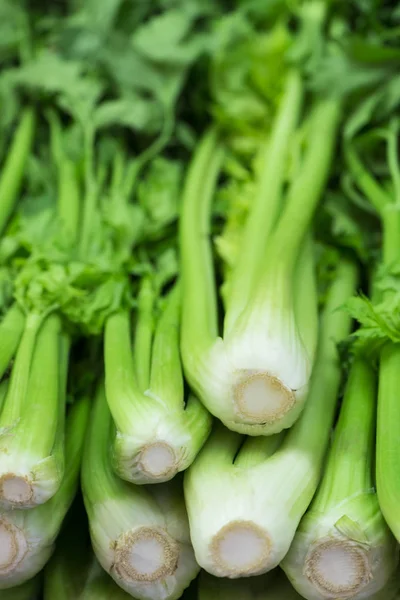 Färsk Selleri Marknaden Närbild Hälsosam Mat Selektivt Fokus — Stockfoto