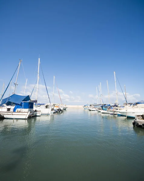 Many Moored Sail Yachts Sea Port Modern Water Transport — Stock Photo, Image