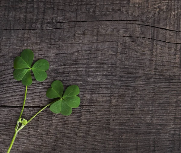 Groene Klaver Symbool Van Een Patrick Day Houten Achtergrond — Stockfoto