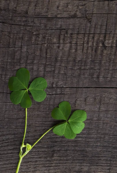 Símbolo Trébol Verde Día San Patricio Sobre Fondo Madera — Foto de Stock