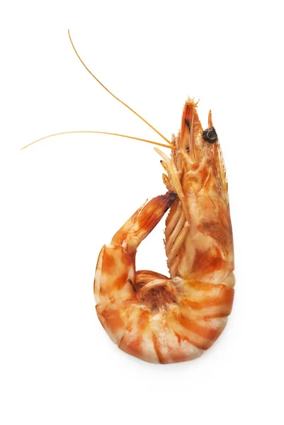 Boiled Tiger Shrimp White Background — Stock Photo, Image