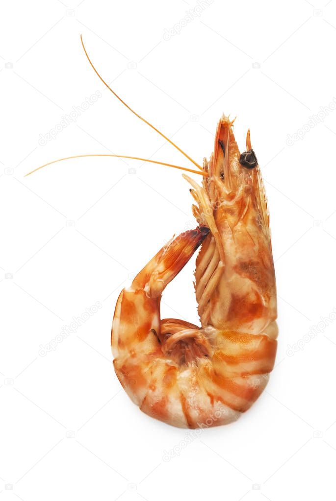 Boiled tiger shrimp on a white background