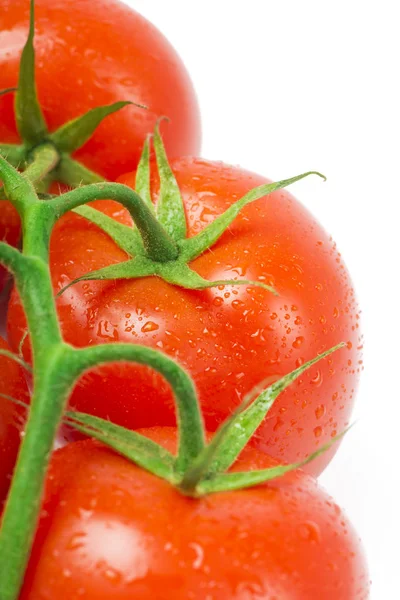 緑の葉と水が白い背景に滴を持つ熟した赤い有機トマトの枝 選択的フォーカス — ストック写真