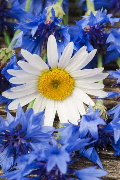 Bouquet Blue Cornflowers Daisies Close Wooden Background Selective Focus — Stock Photo, Image