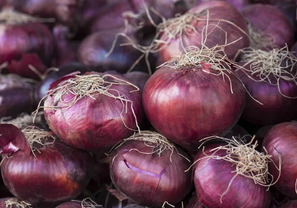 Récolte Fraîche Oignons Rouges Une Saine Alimentation Concept Récolte Agricole — Photo