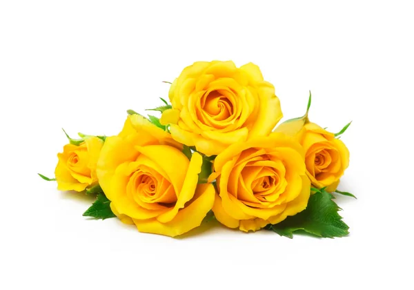 Beautiful Yellow Roses White Background — Stock Photo, Image