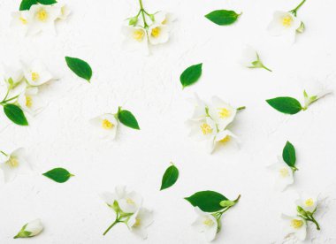 Yasemin çiçekleri desenli üst görünüm, düz yatış