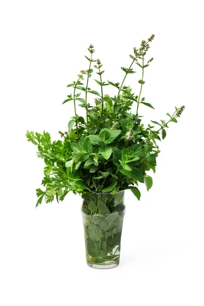 Fresh Herbs Isolated White Background Organic Herbs — Stock Photo, Image