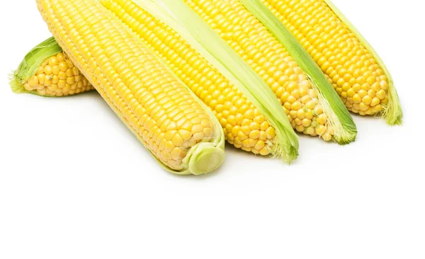 白色背景下的甜玉米 — 图库照片
