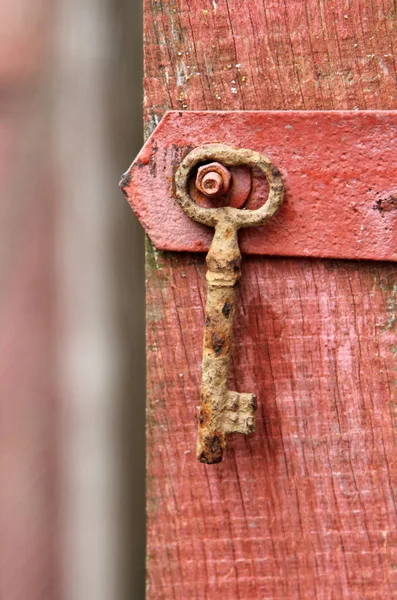 Old Rusty Key Red Wooden Background — Stock Photo, Image