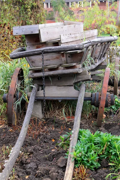 Vieux Chariot Bois Dans Jardin — Photo