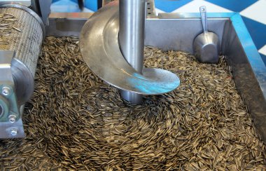 Mekanik Ayçiçeği tohumları kurutma işlemi