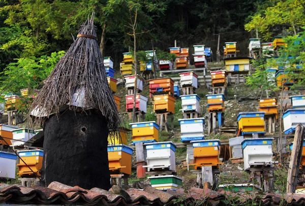 Bunte Bienenstöcke Der Bulgarischen Imkerei Bienenhof — Stockfoto