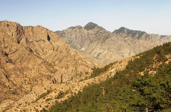 Vue Panoramique Parc Forestier National Helan Mountain Suyukou Province Ningxia — Photo